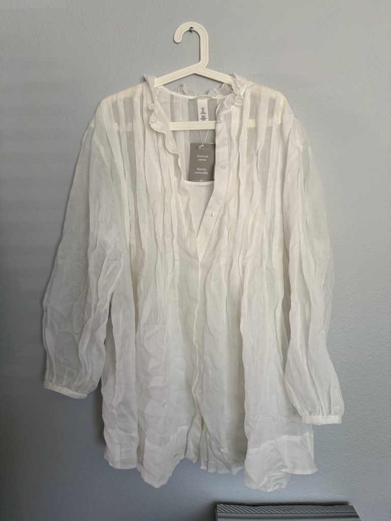 H&M Sheer White Striped Button-Front Blouse